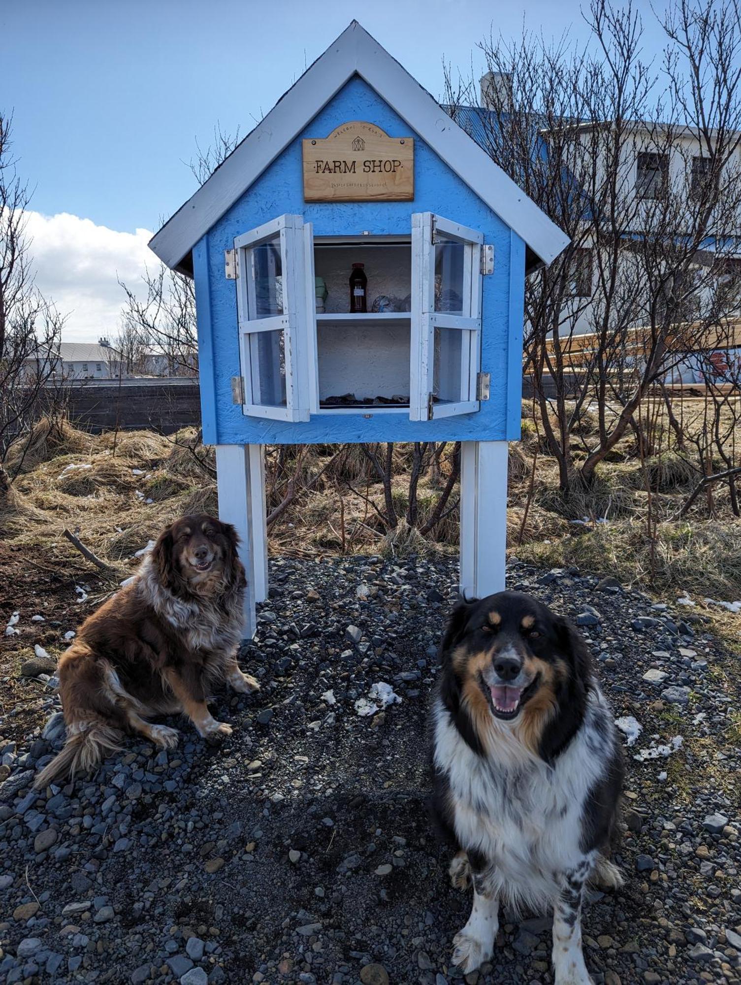 Vik Hostel Eksteriør bilde
